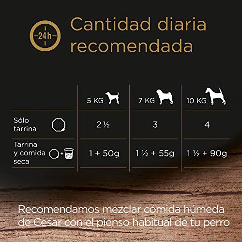 Cesar Multipack de 4 tarrinas Recetas campesinas para perro de 150g selección en salsa (Pack de 6)