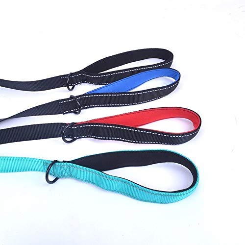 CHAOYUEB Correa para Mascotas,   Correas Flexibles para Perros Grandes Accesorios para Perros Mascota Plomo para Mascotas, Verde, L, 2.5X180Cm