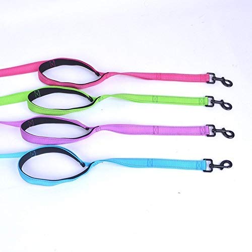 CHAOYUEB Correa para Mascotas,   Correas Flexibles para Perros Grandes Accesorios para Perros Mascota Plomo para Mascotas, Verde, L, 2.5X180Cm