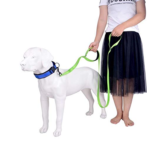 CHAOYUEB Correa para Mascotas,   Correas Flexibles para Perros Grandes Accesorios para Perros Mascota Plomo para Mascotas, Verde, L, 2.5X180Cm