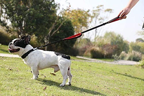 CHAOYUEB Correa para Perro Acolchada Y Reflectante Dos Manijas Duradera Pequeña Mediana Grande Correa para Entrenamiento De Mascotas para Perros Plomo De Nylon, Rojo Y Negro, M, 1.5M (4.9Ft)