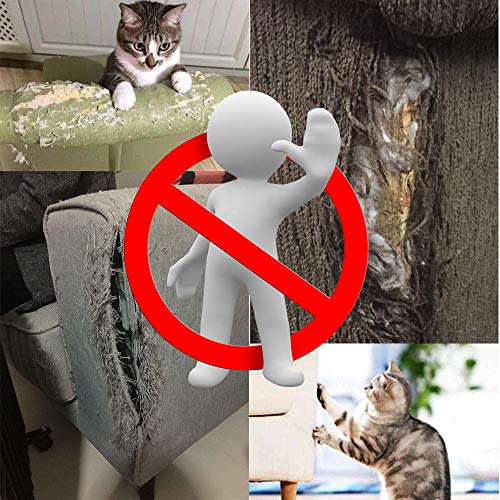 Clashduck Protectores de Muebles de Gatos para Muebles de Gatos, Muebles de Gatos, Protectores de arañazos para sofá, Puerta, Muebles de Madera, 4 Paquetes