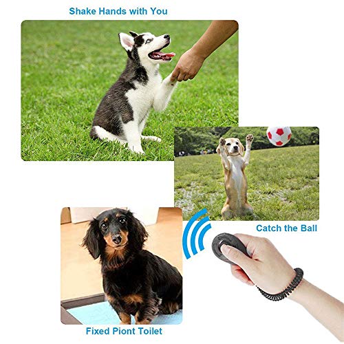 Clicker Adiestramiento para Perros con Correa de Muñeca Profesional Perro Gato de Caballo de Aves Mascotas Formación de Clicker Ejercitar la Obediencia y Enseñar a la Mascota 3 Piezas Negro