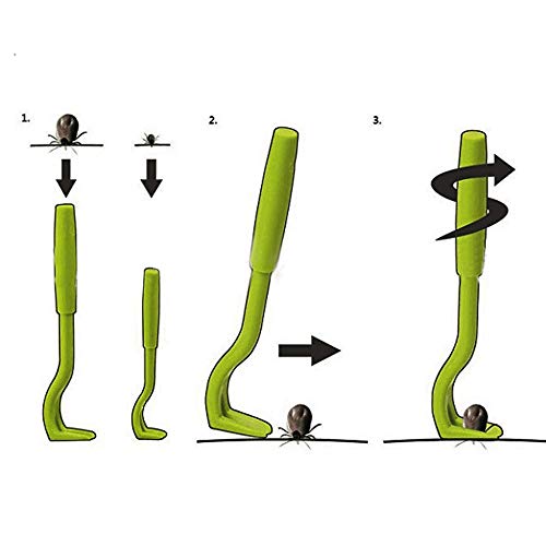 CMTTOME 2 PCS/Set Pinzas para Mascotas Scratch Comb Flea Hook Tick Removal Tool-Verde_S