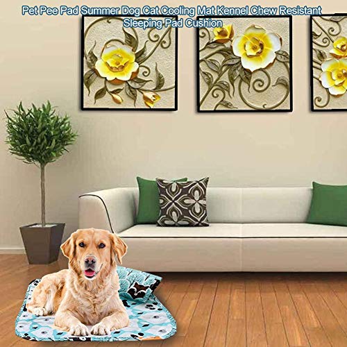 colinsa Dog Pee Pad, 2 Tamaños Reutilizable Absorbente Impermeable Cachorro Perro Gato Pee Cama Cojín Alfombra Orina Alfombra de Entrenamiento de Mascotas