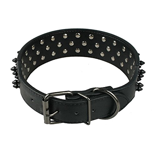 Collar Berry para perros, de piel con pinchos, para pasear y entrenamiento, elegante y moderno 