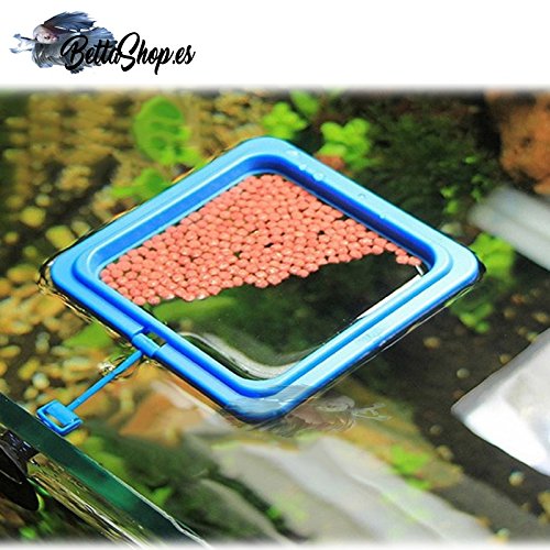 COMEDERO FLOTANTE PARA PECES COMEDEROS FLOTANTES COMIDA PARA PECES COMIDA PECES