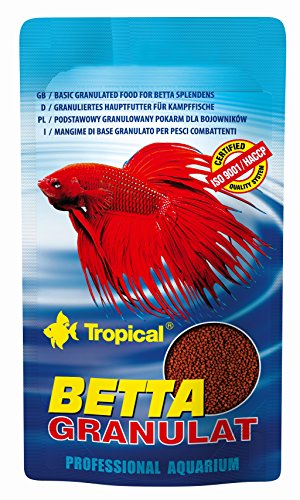 COMIDA PARA PECES COMIDA DE PECES COMIDA PARA BETTAS COMIDA DE BETTAS PEZ BETTA