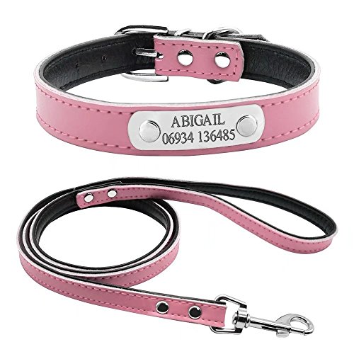 Conjunto de correa de piel ajustable y collar acolchado personalizable para perro de la marca Berry