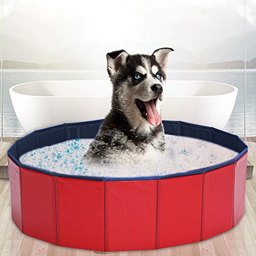 Coolty Piscina para niños, bañera Plegable para Mascotas, Piscina para Perros y Gatos (80 × 20 cm)