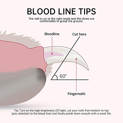 Cortaúñas y Cortaúñas Para Perros, Con Luces Led y Dispositivo De Protección De Seguridad Para Evitar Salpicaduras, Cuidado Profesional Sin Dolor De Las Garras De Los Animales