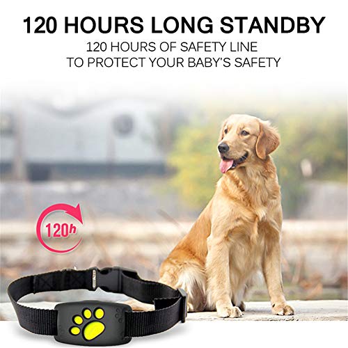 CSDY-Tiempo Real GPS AGPS Tracker para Perros Gatos De Seguimiento De Mascotas Dispositivo Localizador GPS De Seguimiento Impermeable Espera 150Mah Localizador De Mascota Collares