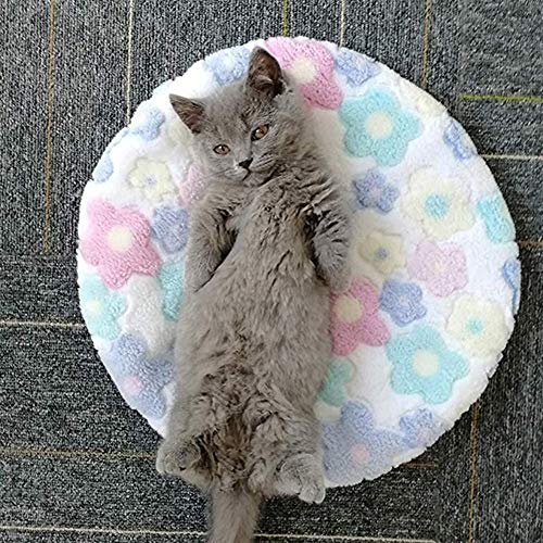 Cubierta Sofá Cama Cama Del Animal Doméstico Del Gato Del Perro Casero Cama Casa Estera Cómoda Del Perrito Gatito Nido Transpirable Cueva Mascotas Fieltro Del Paño Del Gato Del Perro Dormir Bolso De L