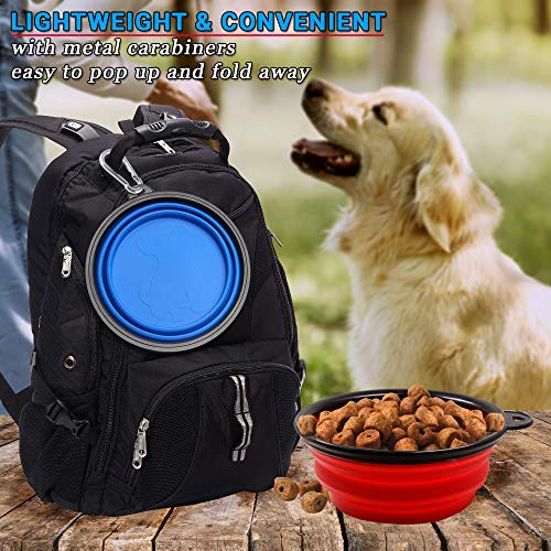 Cuenco Bol Comedor Plegable para Perros Cachorros hecho del Acero Inoxidable de Talla Mediana para Dar de Comer a Mascotas Pequeñas y Medianas con Base Orilla de Goma Antideslizante (Paquete de 2)