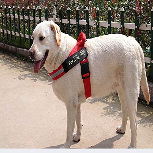 Cuerda de Perro para Caminar con Cadena de Perro con Cuerda de tamaño Mediano, Pelo de Oro Labrador Vest K9