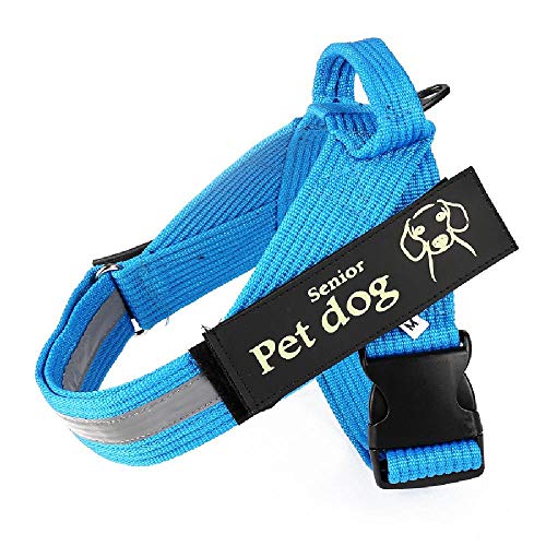 Cuerda de Perro para Caminar con Cadena de Perro con Cuerda de tamaño Mediano, Pelo de Oro Labrador Vest K9