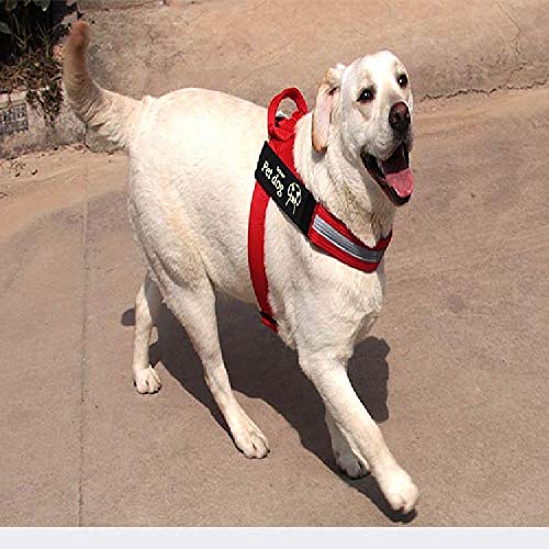 Cuerda de Perro para Caminar con Cadena de Perro con Cuerda de tamaño Mediano, Pelo de Oro Labrador Vest K9