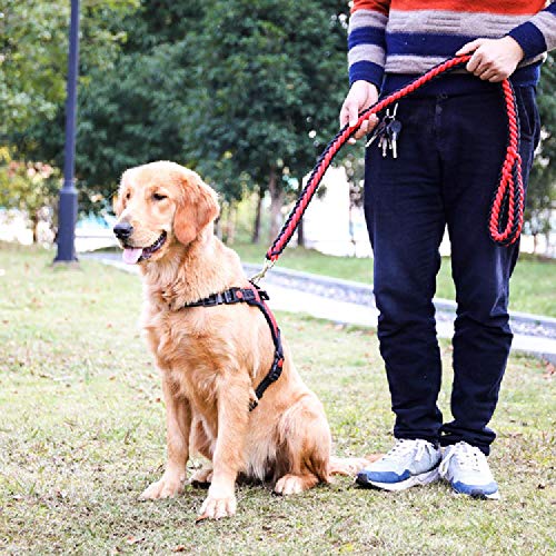 Cuerda de tracción para Mascotas de compañía, Cuerda para Perro, Pecho y cinturón Trasero, para Mascotas de compañía, Pelo Dorado, Cadena de Perro Mediano y Grande, Chaleco para Perro