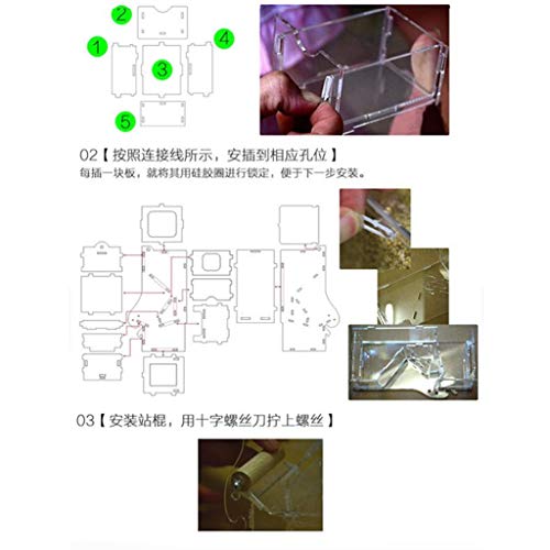 Dabixx Jaula de comedero para pájaros JunYe, portátil, Transparente, para Loros, Canarios, pájaros, Palomas, Accesorios para Jaula, Dispositivos de alimentación para Exteriores