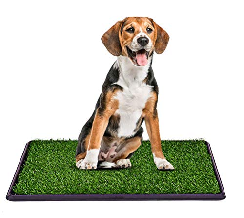 DAN Perros Bandeja,Inodoro De Bandeja para Perros CéSped Artificial con CajóN Lavable Hacer Orinar Mascota