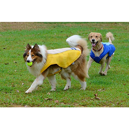 DAN SHANG Chaleco para Enfriar Perros, Chaqueta de Abrigo Ligera para Mascotas Ropa de Verano al Aire Libre y Transpirable para Perros Domésticos Medianos y Grandes, Azul L