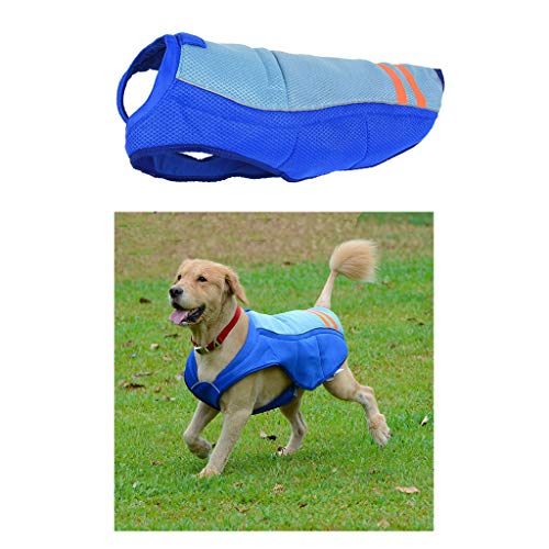 DAN SHANG Chaleco para Enfriar Perros, Chaqueta de Abrigo Ligera para Mascotas Ropa de Verano al Aire Libre y Transpirable para Perros Domésticos Medianos y Grandes, Azul L