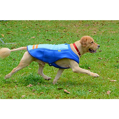 DAN SHANG Chaleco para Enfriar Perros, Chaqueta de Abrigo Ligera para Mascotas Ropa de Verano al Aire Libre y Transpirable para Perros Domésticos Medianos y Grandes, Azul L