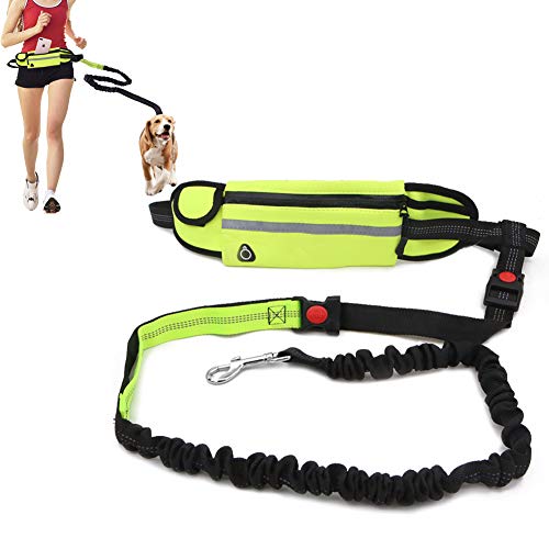 Dawa - Correa para Perro con Manos Libres para Correr, Caminar, Senderismo, cinturón Ajustable y Bolsa con elástico Reflectante Ideal para Perros pequeños y medianos (Verde)