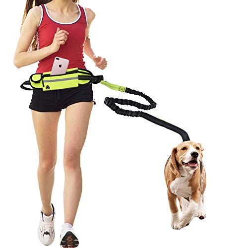 Dawa - Correa para Perro con Manos Libres para Correr, Caminar, Senderismo, cinturón Ajustable y Bolsa con elástico Reflectante Ideal para Perros pequeños y medianos (Verde)