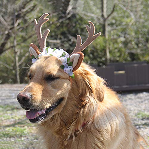 DAYOLY Gorro de Cuernos de Alce para Perro, con Orejas y Reno de Navidad, Diadema para Perro, Gato, Mascota, Accesorio de peluquería para Fiestas