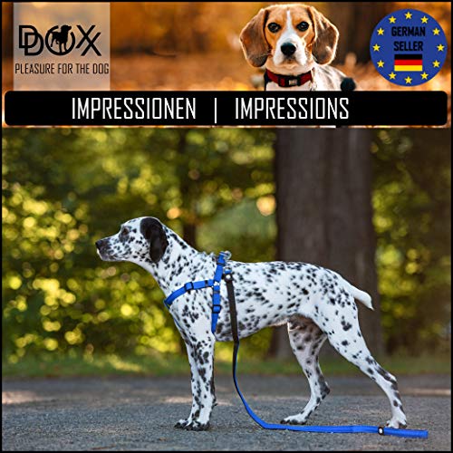 DDOXX Arnés Perro Step-In Air Mesh, Ajustable, Acolchado | Diferentes Colores & Tamaños | para Perros Pequeño, Mediano y Grande | Accesorios Gato Cachorro | Azul, XS