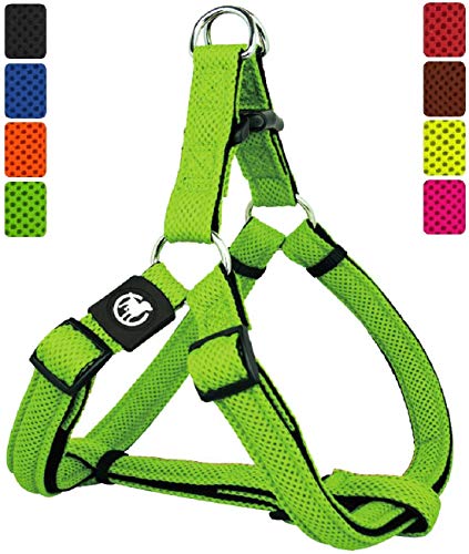 DDOXX Arnés Perro Step-In Air Mesh, Ajustable, Acolchado | Diferentes Colores & Tamaños | para Perros Pequeño, Mediano y Grande | Accesorios Gato Cachorro | Verde, XS