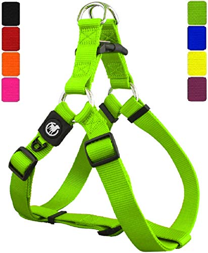 DDOXX Arnés Perro Step-In Nylon, Ajustable | Diferentes Colores & Tamaños | para Perros Pequeño, Mediano y Grande | Accesorios Gato Cachorro | Verde, M