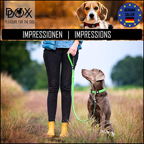 DDOXX Correa Perro Air Mesh, Acolchado, Lazo de Mano, 120 cm | Diferentes Colores & Tamaños | para Perros Pequeño, Mediano y Grande | Accesorios Gato Cachorro | Azul, M