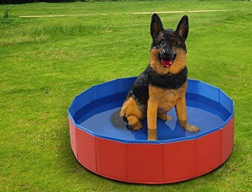 Delaman Piscina Perros - Bañera de Baño Plegable Bañera para Gatos con Forma Redonda Pet PVC 31.4/7.8inch / 80 * 20cm