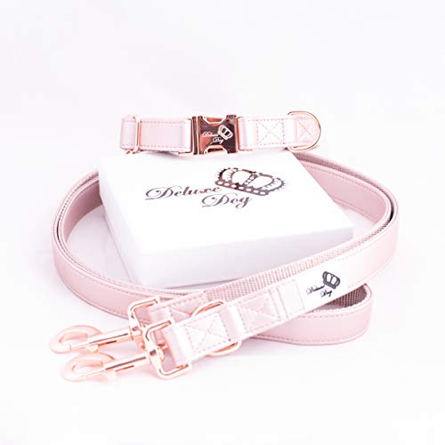 Deluxe Dog Rose Love. Collar de Piel Rosa + Correa para Perros en el Conjunto. Incluye Caja de Regalo/Elegante y Ajustable (edición Especial Oro Rosa)