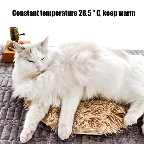 DHQSS Animales Cama Calentador Estera Almohadilla térmica Buen Gato Cama para Perros Cuerpo Invierno Calentador Alfombra Mascota Felpa Manta eléctrica Asiento calefactado Interfaz USB,C,16 * 16In