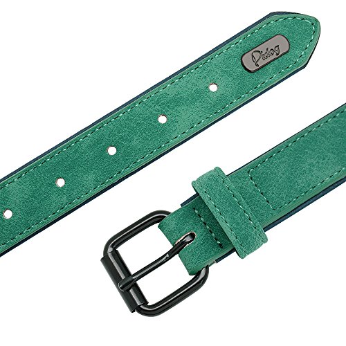 Didog - Collar de piel suave acolchada personalizable para perro, chapa de nombre, anilla en D, collar grabado para perro, tamaños pequeño, mediano y grande