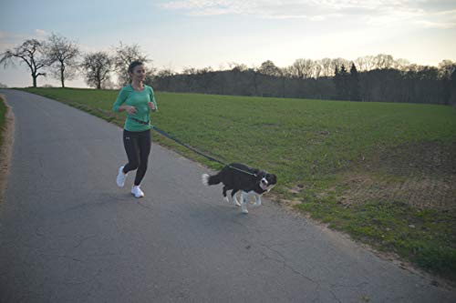 #discoversports – Correa de Correr para Perros con cinturón Ajustable – Correa para Correr, Correa para Manos Libres, Correa para Perros, cinturón para Correr, Correa para Perros