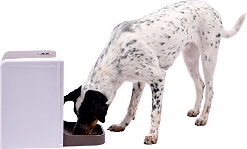 dobar 50131 Grande automático Forro automática para Perros y Gatos, programable Forro dispensador con Mensaje de Voz, Color Blanco