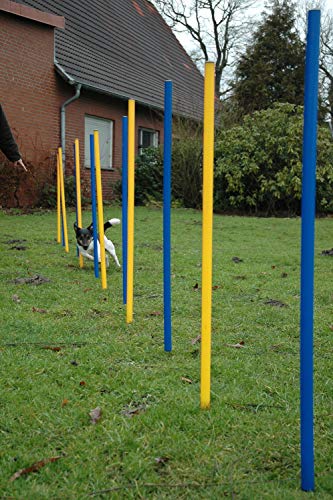 dobar 50807 Agility Slalom Set Compuesto de 12 Barras y Cuerda separadora, Aprox. Altura: 110 cm, Amarillo/Azul