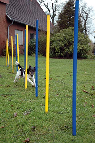 dobar 50807 Agility Slalom Set Compuesto de 12 Barras y Cuerda separadora, Aprox. Altura: 110 cm, Amarillo/Azul