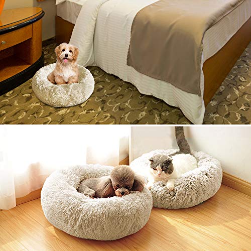 Docatgo - Cama para Mascotas de Peluche para Gatos y Perros pequeños y medianos, Suave cojín Redondo Cama para Gatos