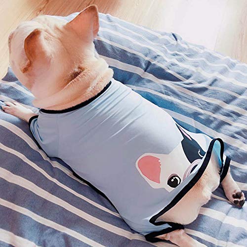 DOGCATMM Mono De Primavera para Mascotas Bulldog Francés Ropa para Mascotas para Perros Pequeños Grandes Abrigo De Algodón Ropa para Mascotas Ropa para Perros Pug