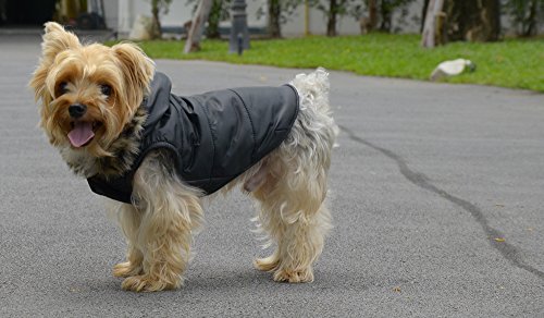 DoggyDolly - Chaqueta clásica de Invierno para Perro , Color Negro, Talla XXS