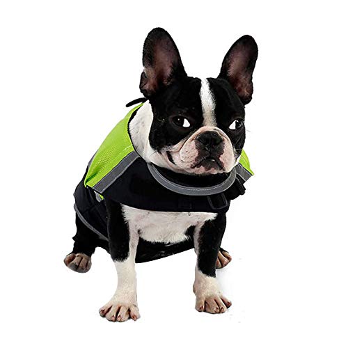 Doglemi - Chaleco Salvavidas Impermeable para Perro, Ideal para el Verano y el Invierno