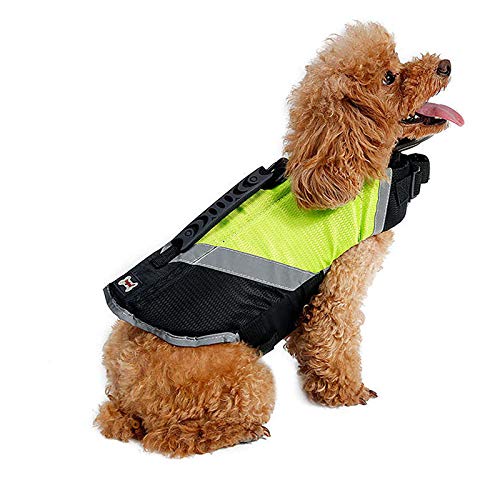 Doglemi - Chaleco Salvavidas Impermeable para Perro, Ideal para el Verano y el Invierno