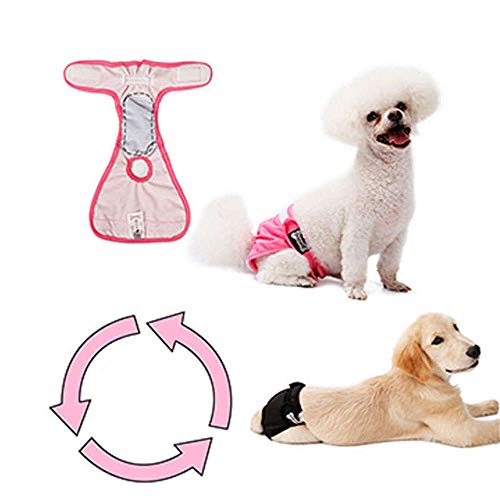 Doglemi - Pañales para Perro, Reutilizables, para Mascotas, fisiológicos, menstruales, higiénicos, para Cachorro, Super Absorbente, Ropa Interior