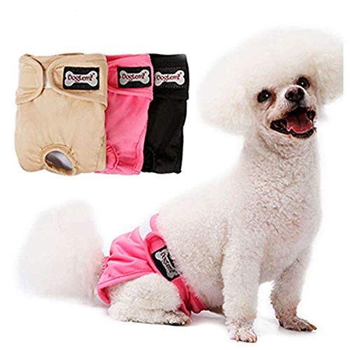 Doglemi - Pañales para Perro, Reutilizables, para Mascotas, fisiológicos, menstruales, higiénicos, para Cachorro, Super Absorbente, Ropa Interior