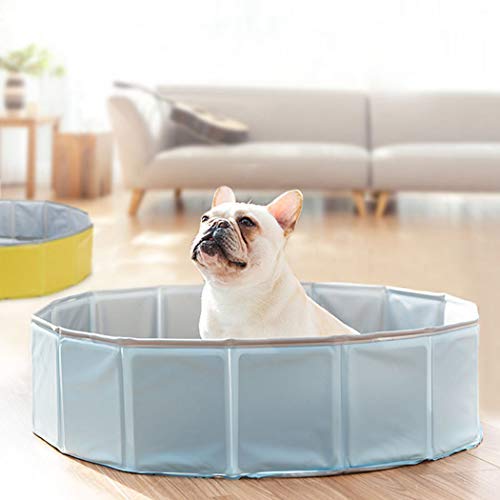 Dorakitten Piscina de baño para Mascotas Bañera Plegable de Mascotas Baño Portátil para Animales Piscina para Perros y Gatos Adecuado para Interior Exterior al Aire Libre Cielo Azul (80 * 20 cm)